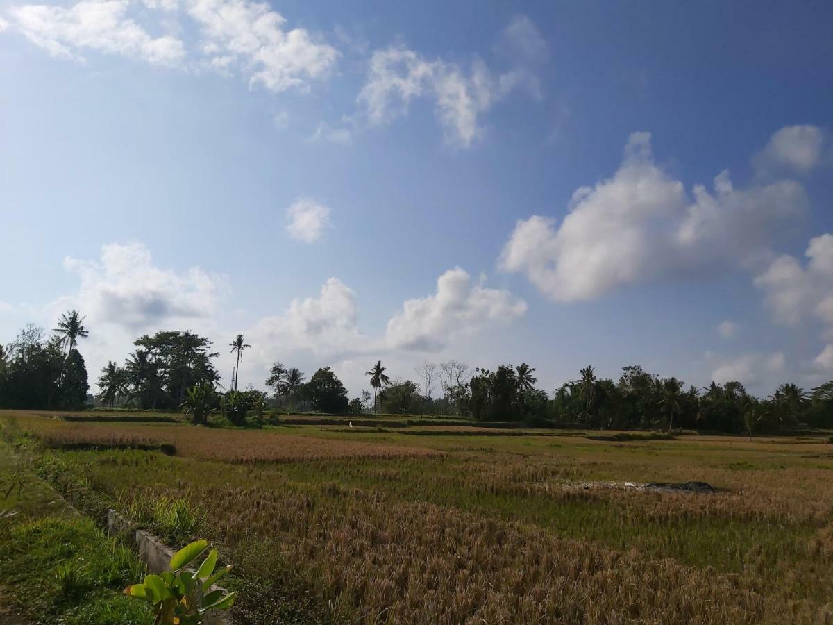 Ayuna Family Ubud Luaran gambar